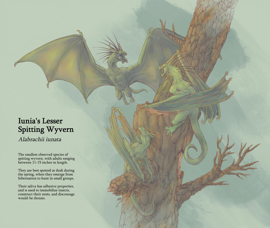 Iunia&#39;s Wyverns