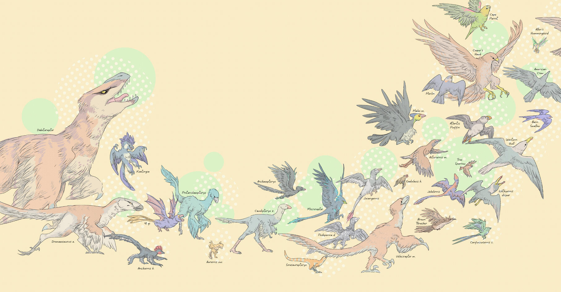 Flight - Binder Cover