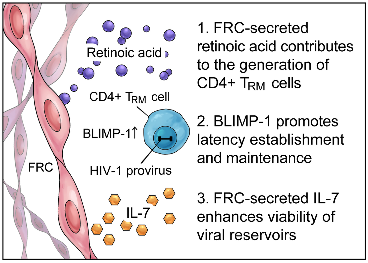 FRC - Significance figure
